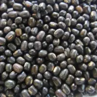 Black Gram - Kali Sabot Urad