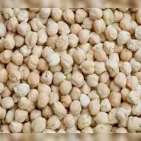Chickpeas, Garbanzo Beans - Kabuli Channa