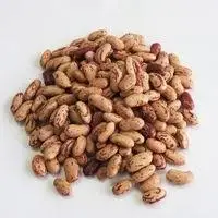 Brown Kidney Beans- Chitra