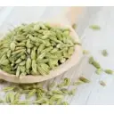 Fennel, Aniseed