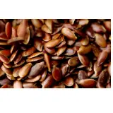 Flaxseed