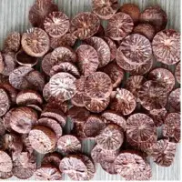 	Betel Nuts