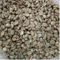 Coffee Robusta