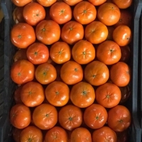 Mandarin Murket