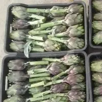 Artichokes