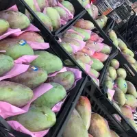 Mangoes