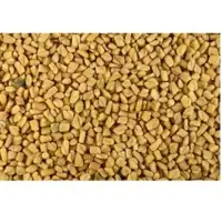 Fenugreek Seeds