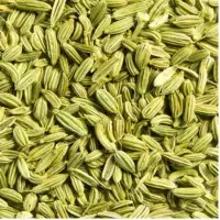 Fennel Seeds