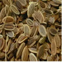 Dill Seeds