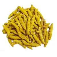 Turmeric