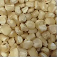 White Maize