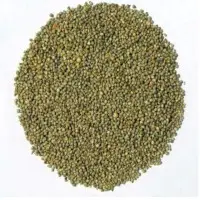 Millets - Green
