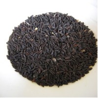 Basil Seeds
