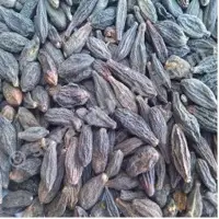 Harda Herbs