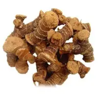 Galangal Roots