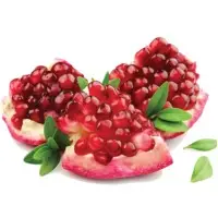 Pomegranate
