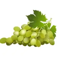 Grapes