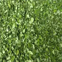 Moringa Leafs