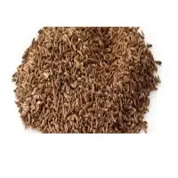 Cumin Seeds