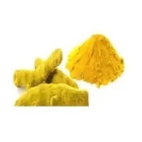 Turmeric