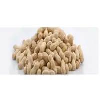 Groundnuts Seeds