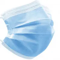 3-Ply Face Mask