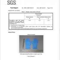 Glove