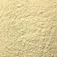 Dehydrated Garlic Powder