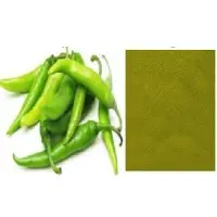 Dehydrated Green Chilli Powder