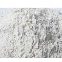 Dehydrated White Onion Powder