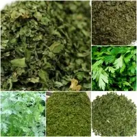 Parsley