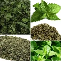 Peppermint