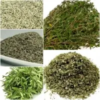 Thyme