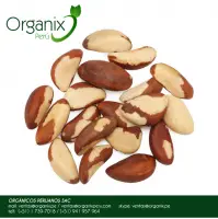 Brazil Nuts