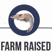 Farm Raised Shrimp