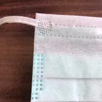 Disposable Face Mask