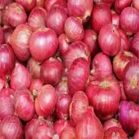 Onion