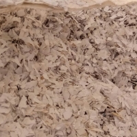 PS ( Polystyrene )