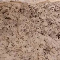 PS ( Polystyrene )