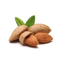 Sweet almond oil
