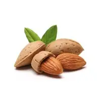 Sweet almond oil