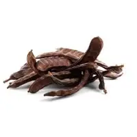 Carob fruit