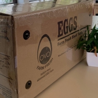 Chicken Eggs