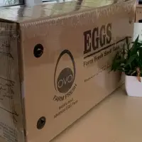 Chicken Eggs