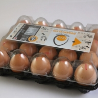 Chicken Eggs