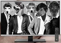 QHD Computer Monitor
