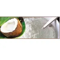 Desiccated Coconut powder