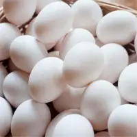 White chicken eggs
