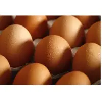Brown Chicken Eggs