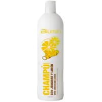 Shampoo 1.000 Ml Of Ginger And Lemon